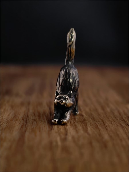 Котик потягивается миниатюра 7d68a899-b209-11ef-0a80-0e3e00051ea5