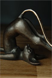 Кот йог в позе Халасана м-200026673