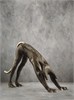 Кот йог в позе Шванасана м-200026681